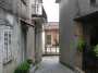 Rughe suprane 008