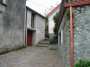 Rughe suprane 018