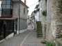 Rughe suprane 019