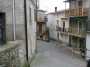 Rughe suprane 024