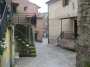 Rughe suprane 027