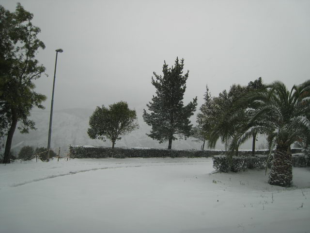 foto 51