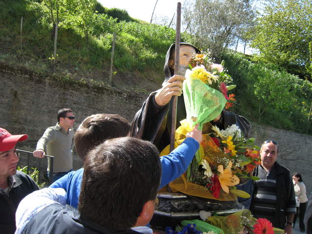 San Francesco 113