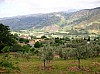 Foto A.Chieffallo 050