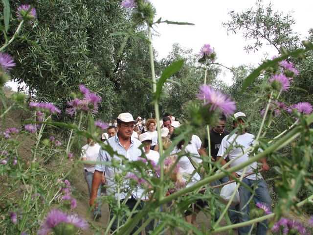 foto084