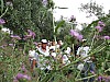 foto084