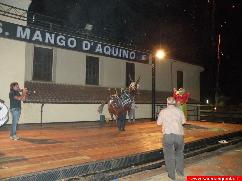Ciuccio_031