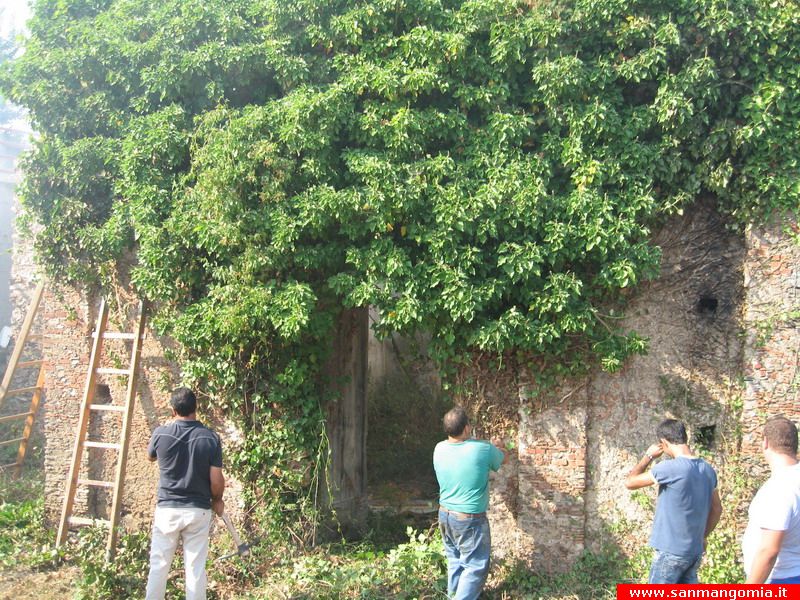 foto_012
