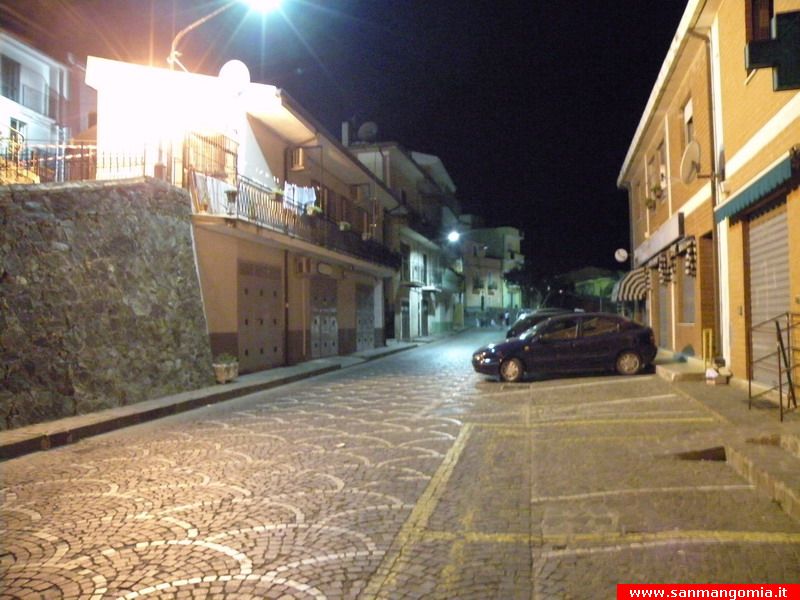 DSCN7533