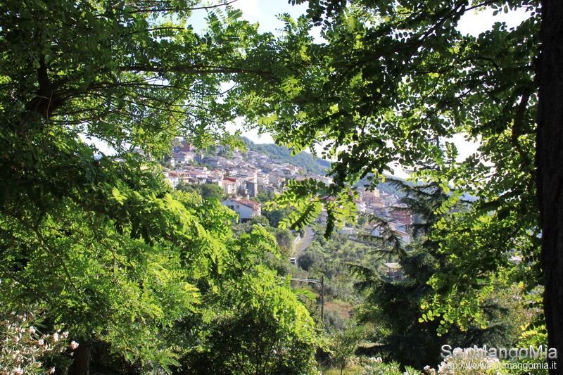 foto_136