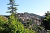 foto_132