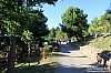 foto_155