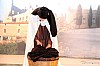 foto_081