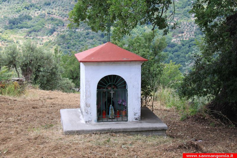 foto233