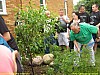 foto06
