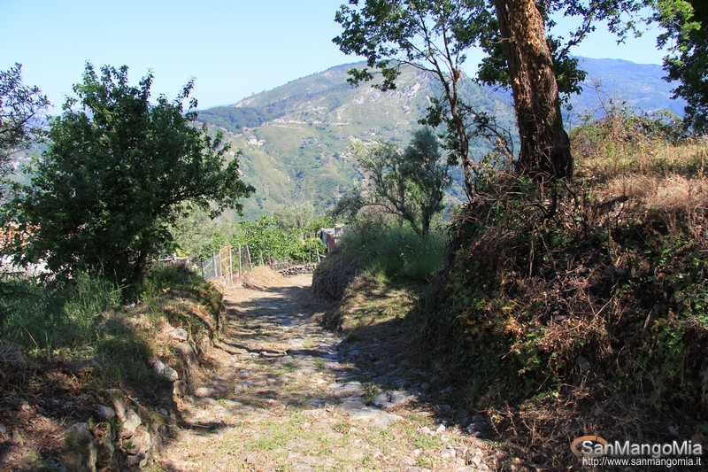 foto001