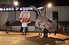 foto048