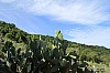 IMG_3057.jpg