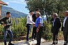 IMG_3203.jpg