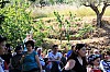IMG_3320.jpg