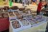 IMG_3380.jpg
