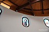 IMG_3696.jpg