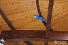 IMG_3870.jpg