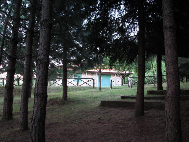 foto014