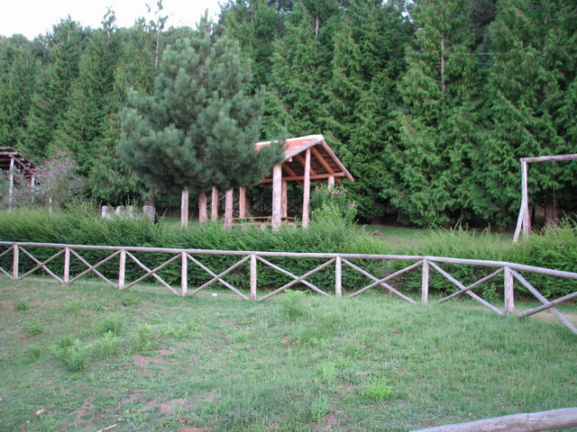 foto019