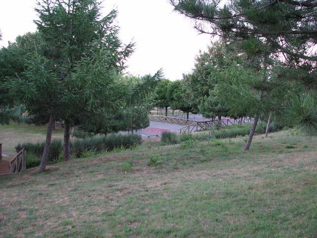 foto021