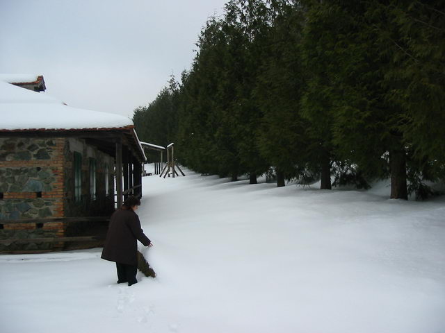foto007