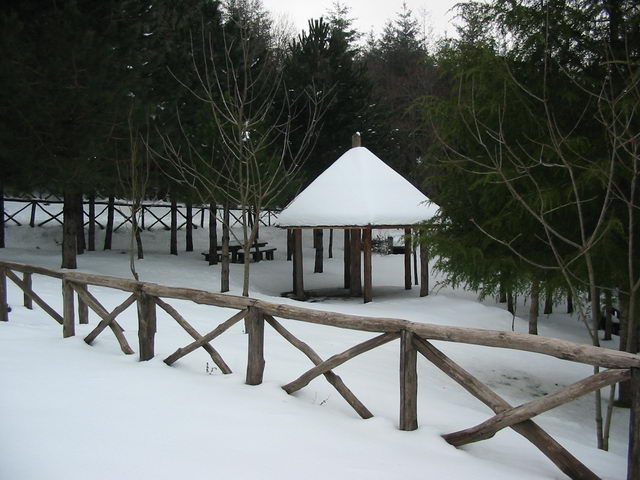 foto008