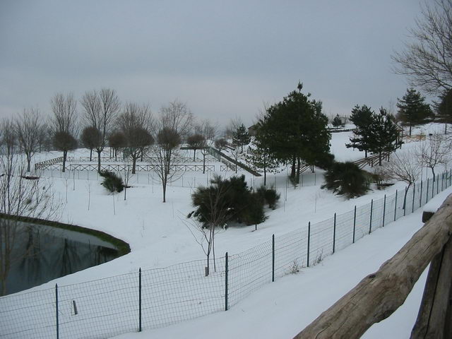 foto011