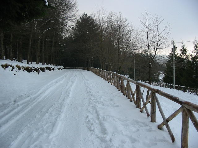 foto021