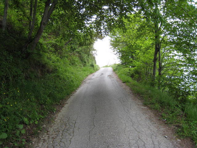 canneddha001