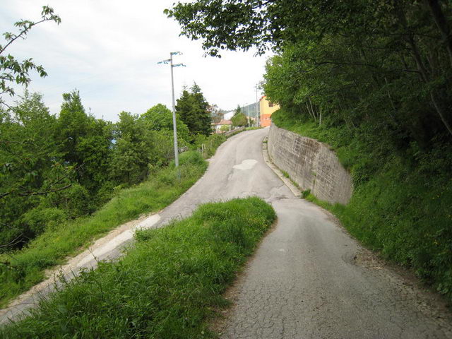 canneddha002
