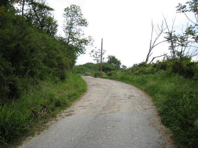 canneddha004