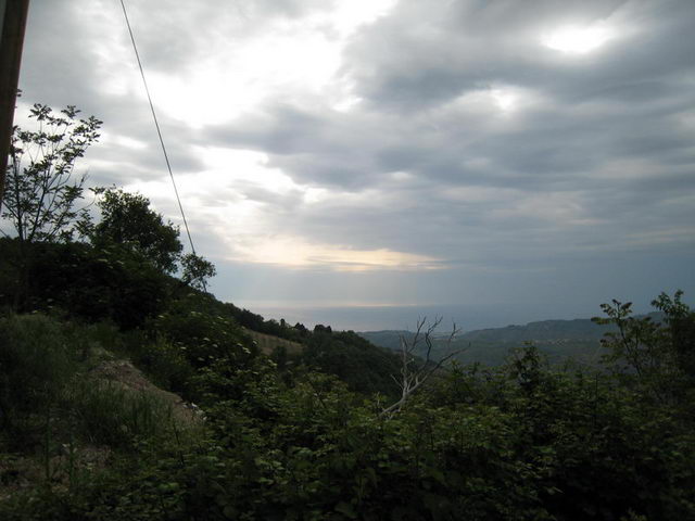 canneddha006