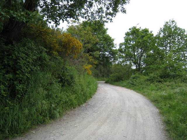 canneddha012