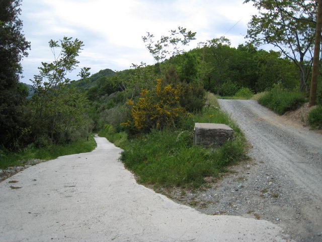 canneddha017