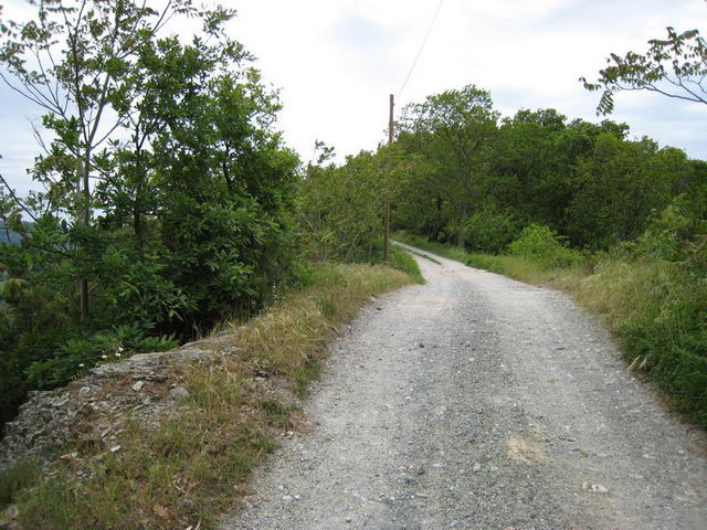 canneddha021