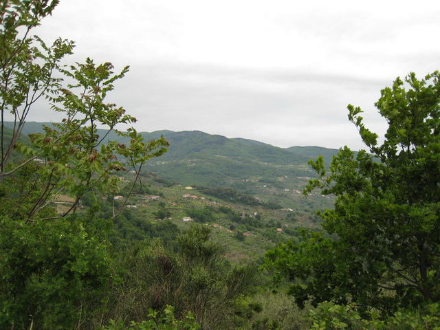 canneddha023