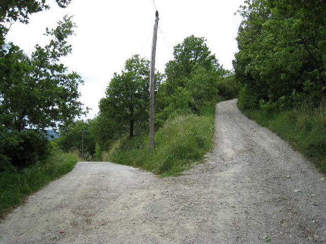 canneddha026