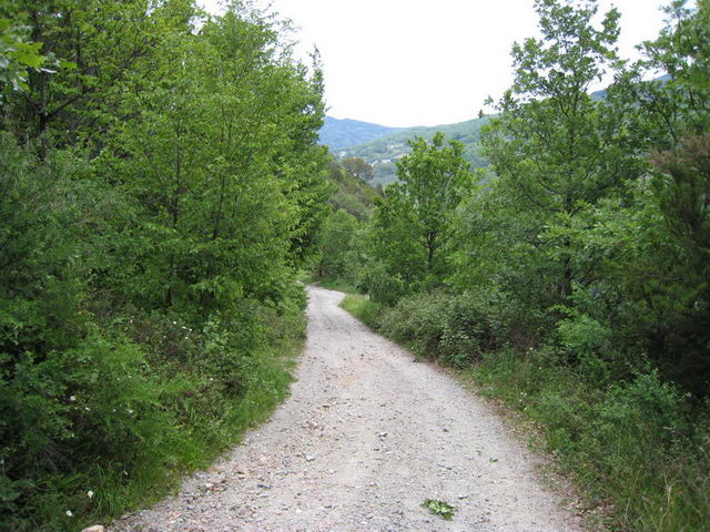 canneddha040