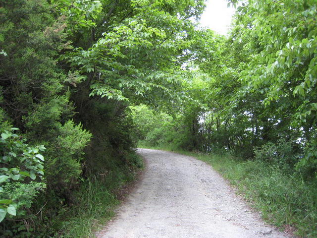 canneddha042