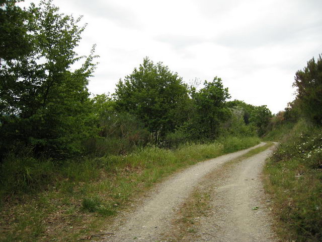 canneddha046