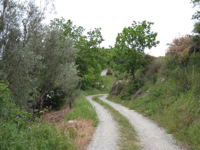 canneddha050
