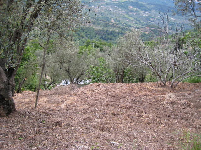 canneddha051