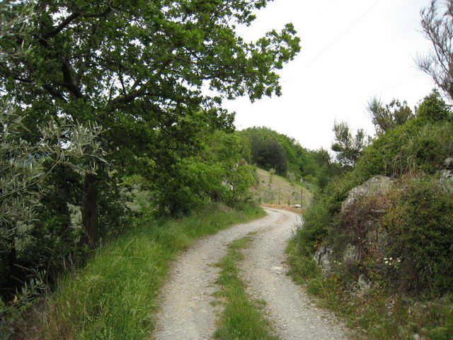canneddha052