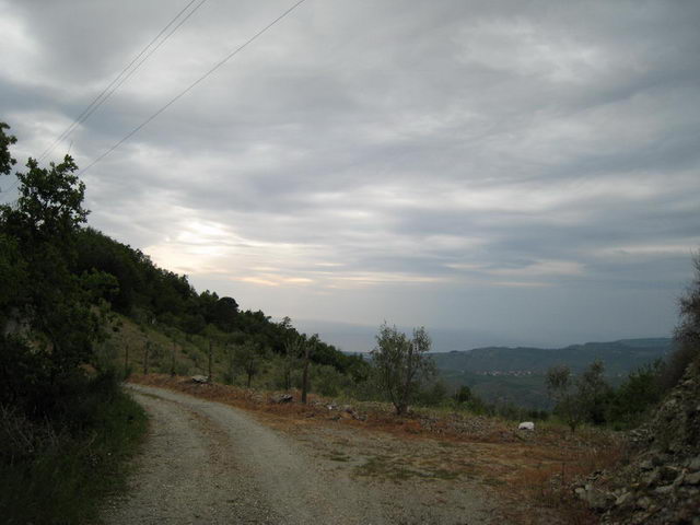 canneddha053